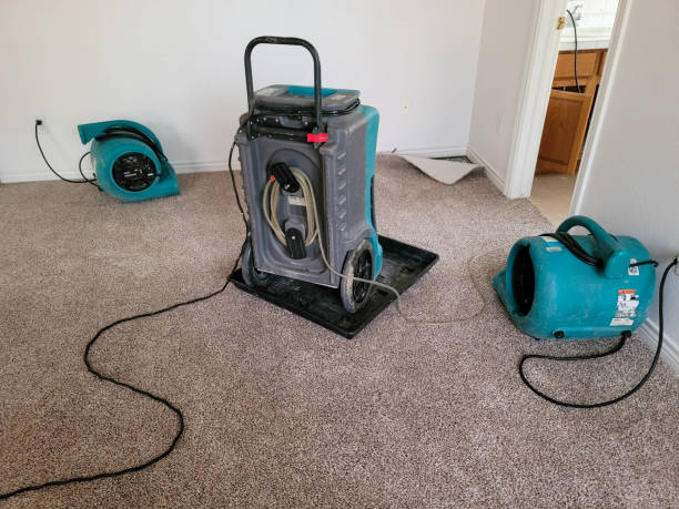 Best Water damage cleanup near me  in Pasadena Hills, MO
