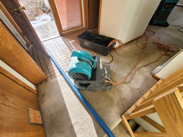 Best Ceiling water damage repair  in Pasadena Hills, MO