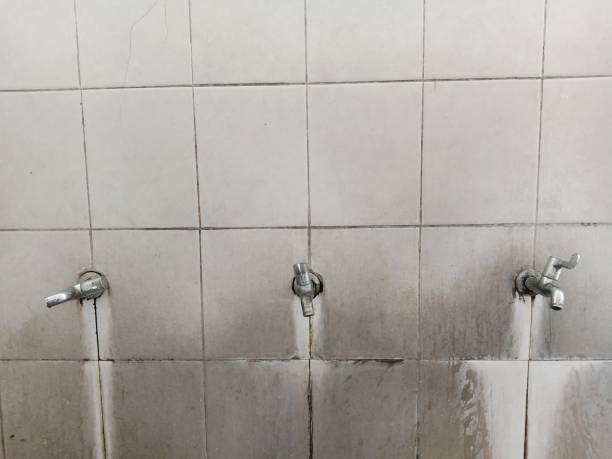 Best Professional water damage repair  in Pasadena Hills, MO