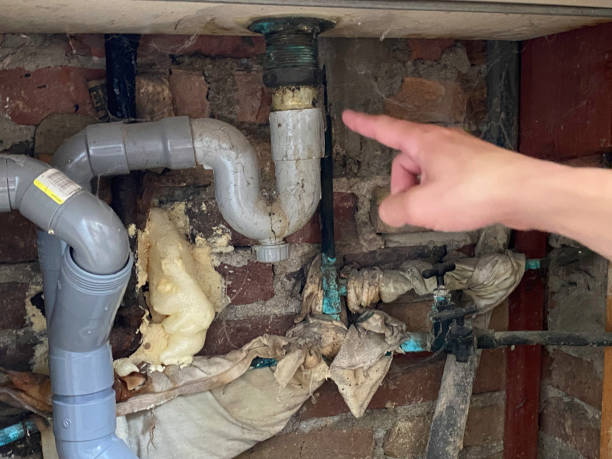 Best Flood damage cleanup  in Pasadena Hills, MO